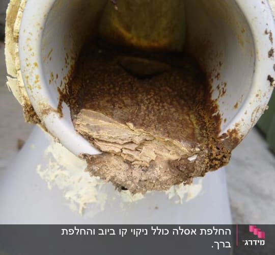 לפני